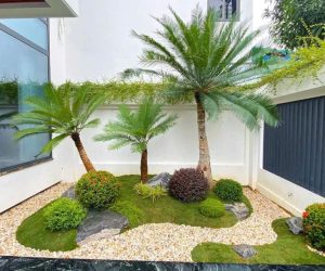 TIỂU CẢNH SỎI CUỘI